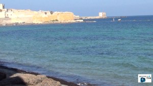 TRAPANI.Still001