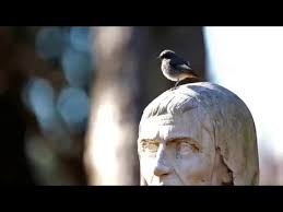 (c) Micol Ricci and Roberto Isotti