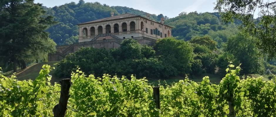 WhatsApp Image 2020-08-03 at 10.01.38 (1)