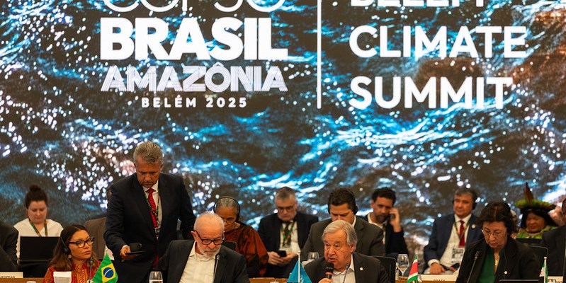 54906946257_09609b8af3_c